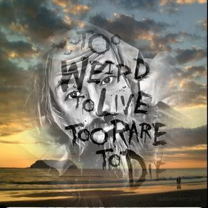 Meet your Posher, Tony